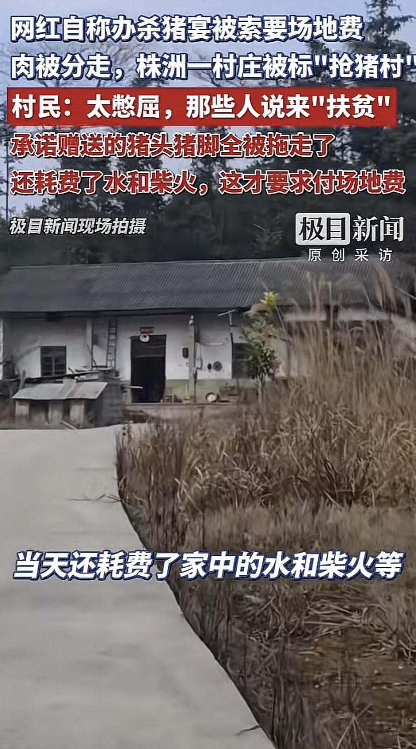 湖南株洲杀猪宴村民表示太憋屈！之前承诺猪头、猪脚、猪内脏赠送给他家，后来全部