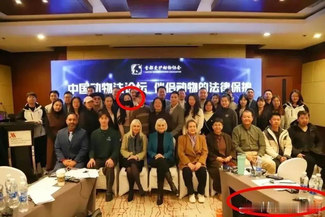 现在有足够的理由相信，大力推行宠物友好的背后藏着西方的文化渗透！以前家家养狗