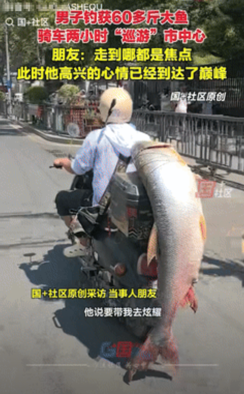 “羡慕坏了！”江西南昌，一钓鱼佬钓到了一条60多斤的大鱼，乐的嘴角连AK都压不住