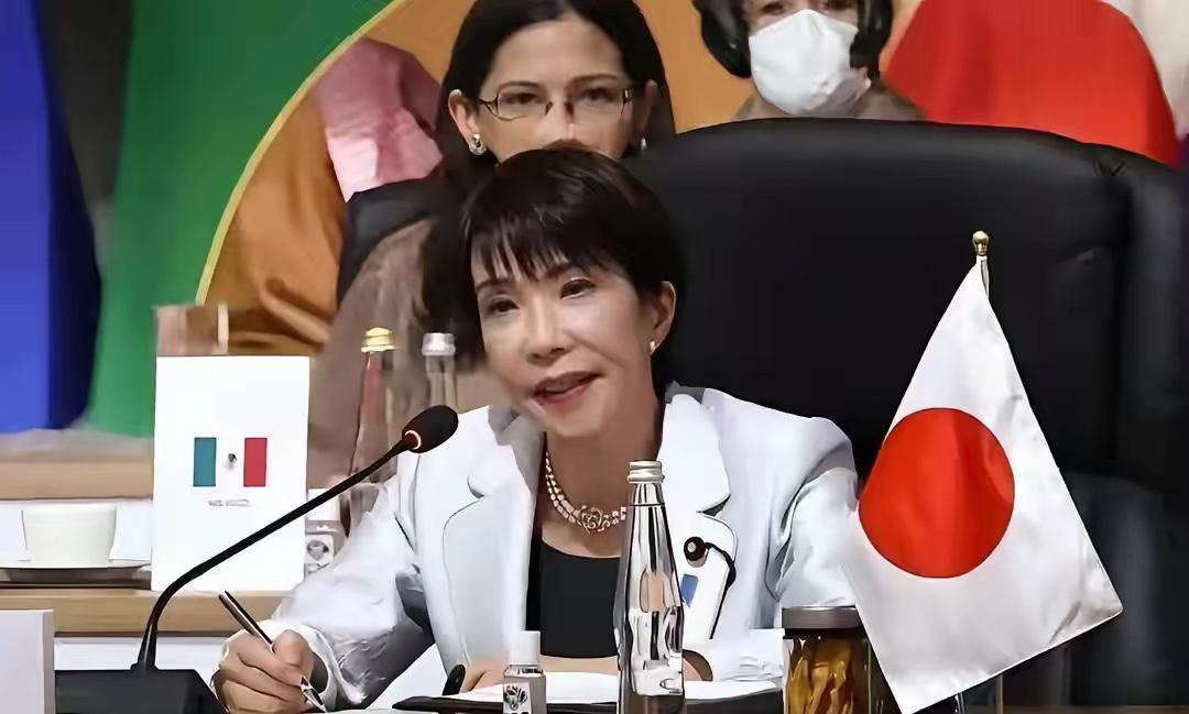 中国制裁成日本经济“钝刀子割肉”深度依赖下的产业困局难翻身终于明白了，这才