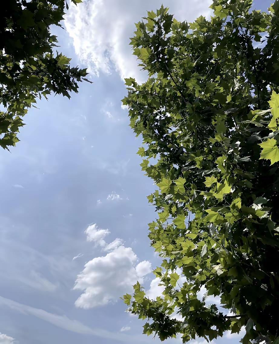 退休金2700，我也慢慢摸出了自己的一套活法：一、钱到账那天，先挪出900