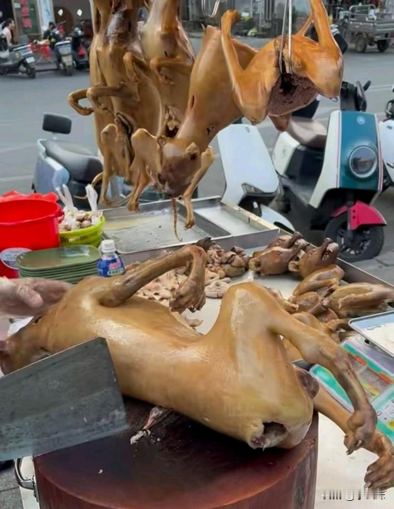 这是什么东西？像羊又不是羊，没有膻味