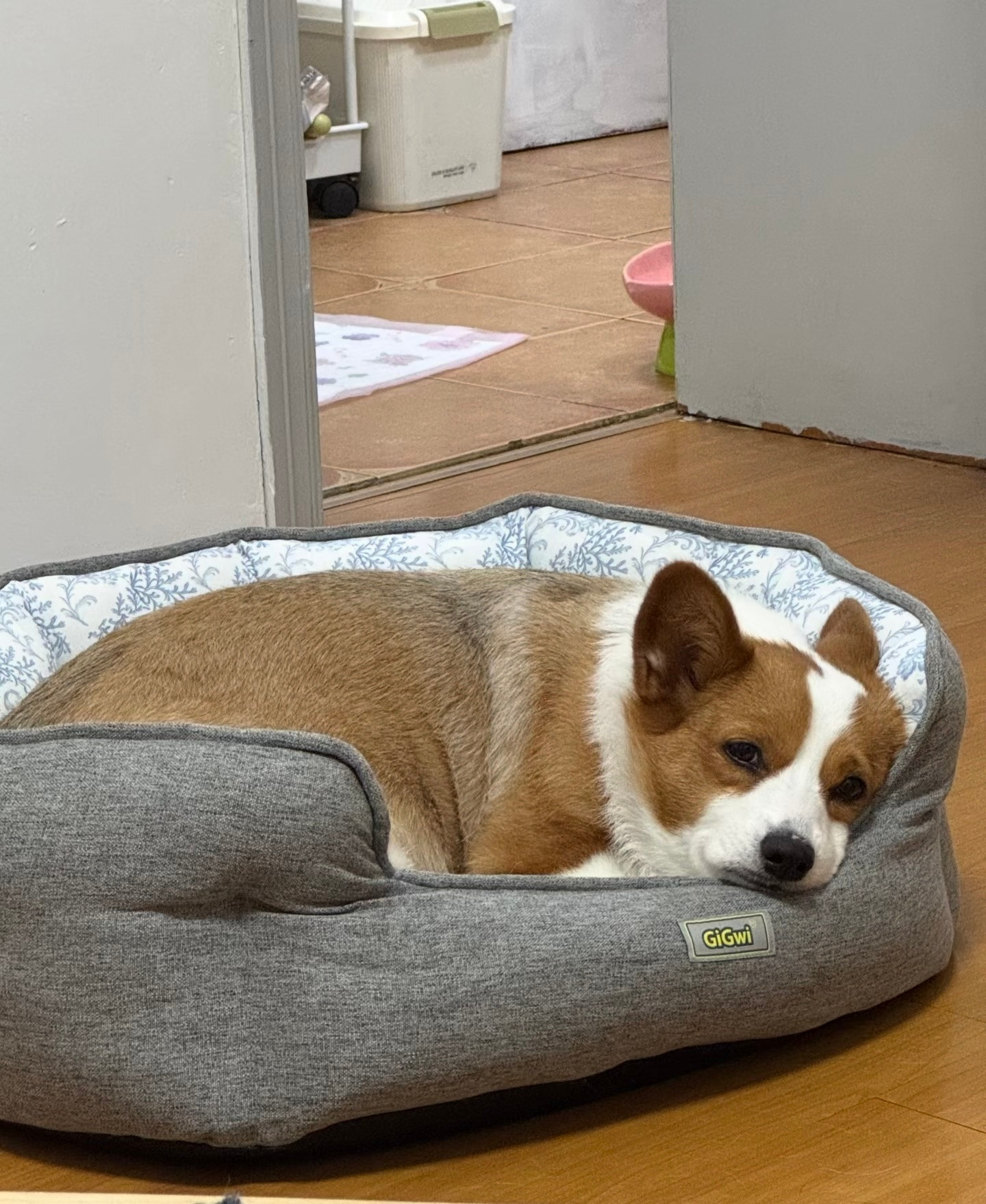 人，你又要上班去了吗