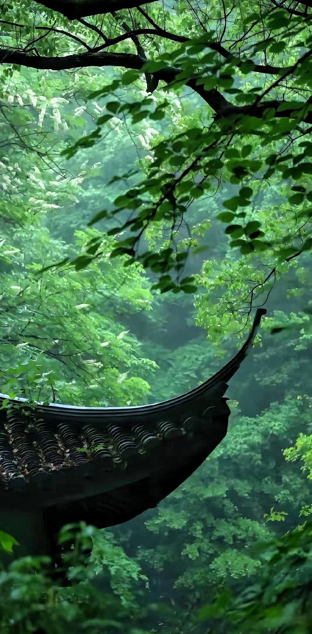 足浴店老板娘说，有些女技师在房间里面跟男客人嘎吱嘎吱，这种臭不要脸的行为，是可