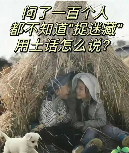 你老家土话怎么说？​​​​