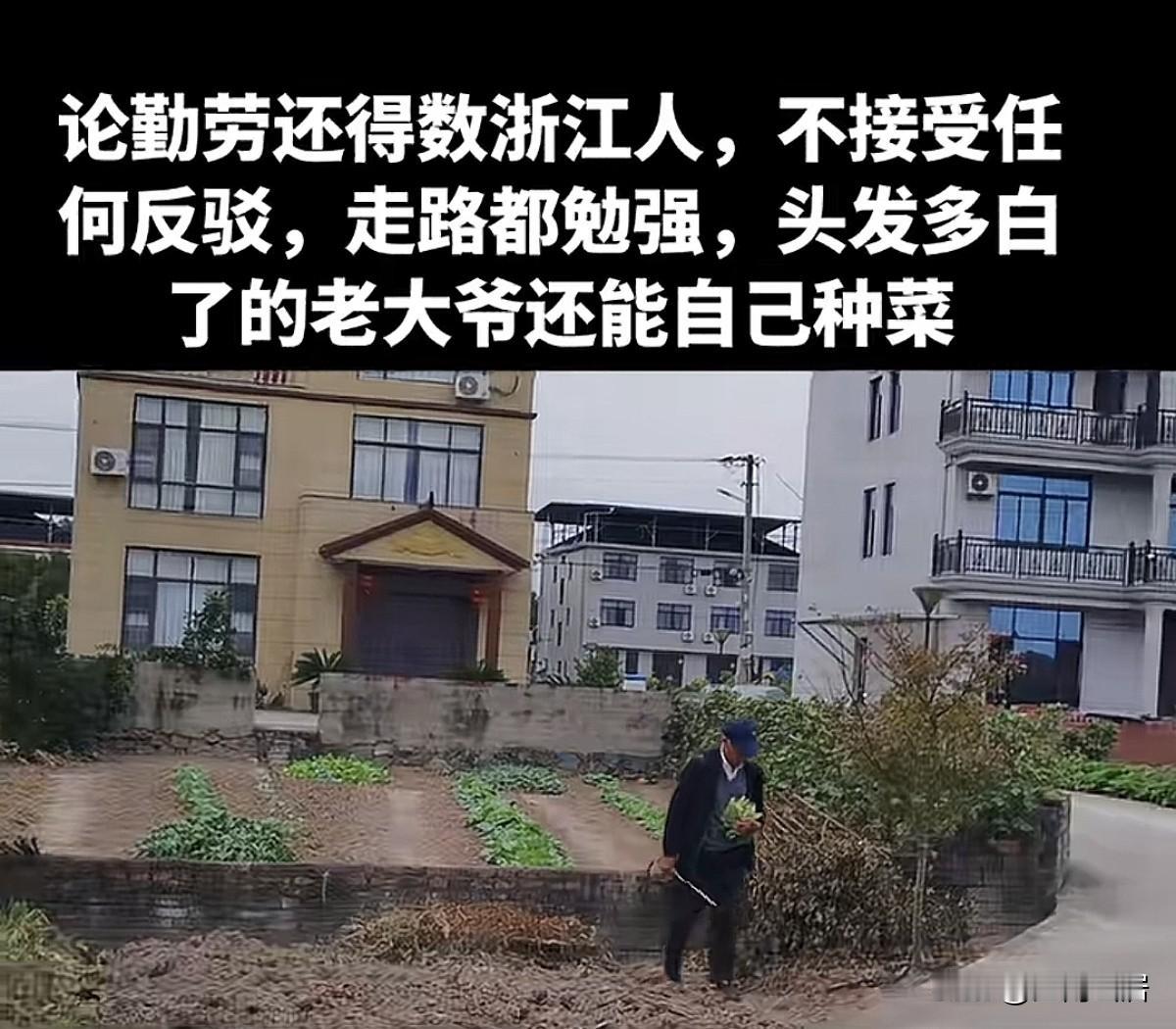 老年人在自家门口,有块地,日常能够松松土,种种菜,浇浇水,活动活动筋骨,打发一下