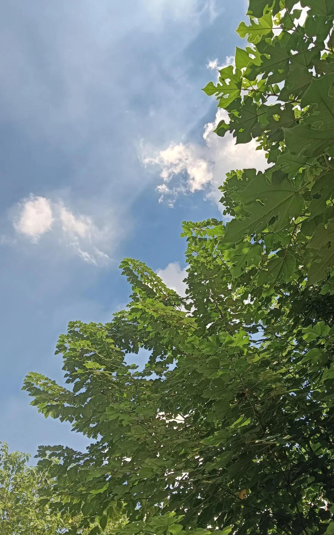 女子停下电动车进了超市，出来后车子不见了，她选择了报警。谁料第二天女子来到超市