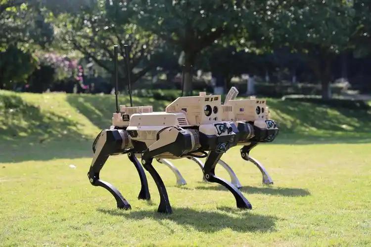 央视官宣无人作战王炸！机器狼群+无人机蜂群亮相，未来战场规则彻底改写。外行人