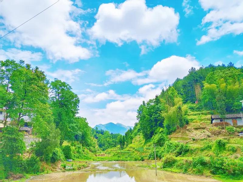我超爱大山里的风景！每次走进大山，就像进入了一个世外桃源。沿途的风景如同画卷般展