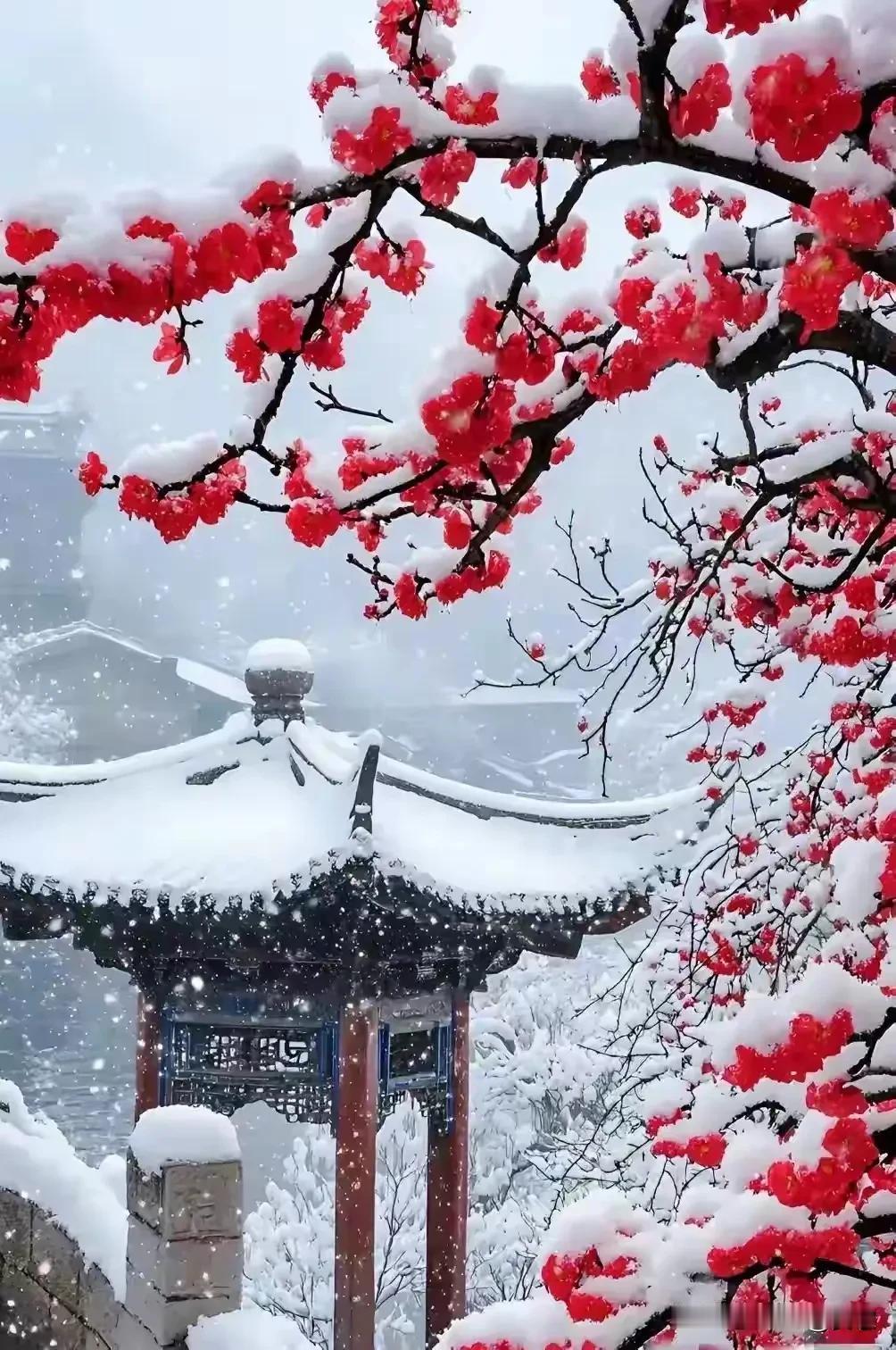 上联:红蕊青蝉方盛夏下联:白雪红梅始隆冬横批:时转星移