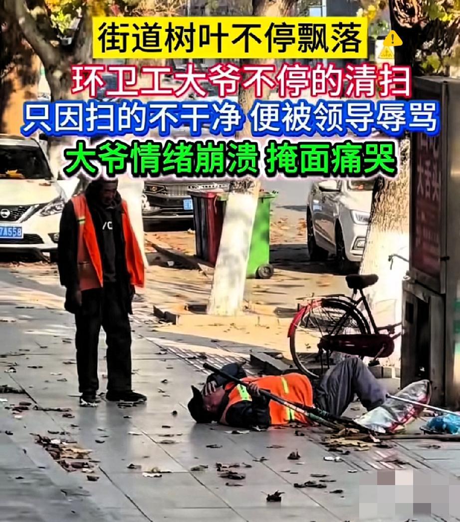 辽宁环卫工扫落叶的视频看哭无数人：树上的叶子没完没了往下掉，他弯腰扫了一遍又一遍