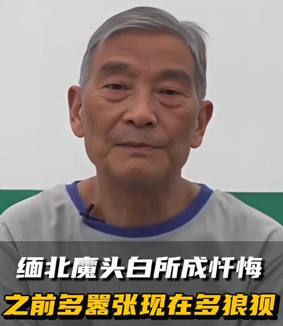 白所成果然被判处死刑！白所成是1950年出生，已经过了75周岁。在国内的法律当