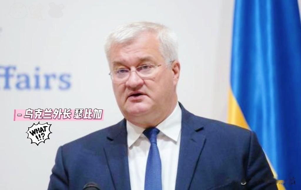 就在刚刚！乌克兰急了！真的急眼了！4月14日，乌克兰外长瑟比加刚跟欧盟外