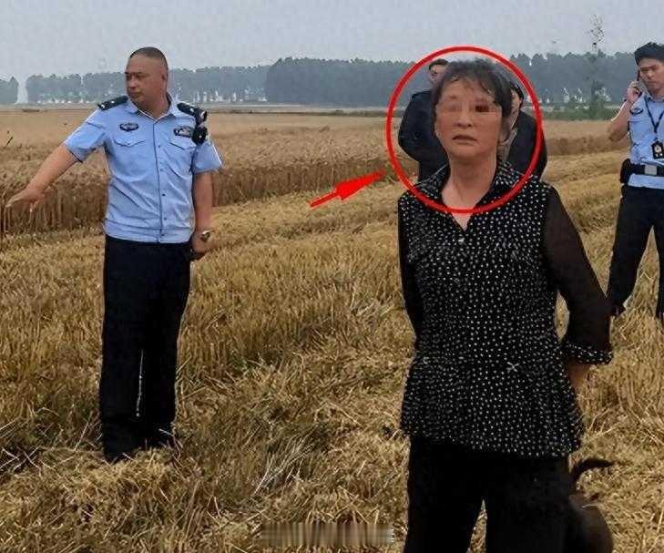 同样是小麦收割，安徽对农机手是这样做的：2.87万份跨区作业证；362条高速跨区