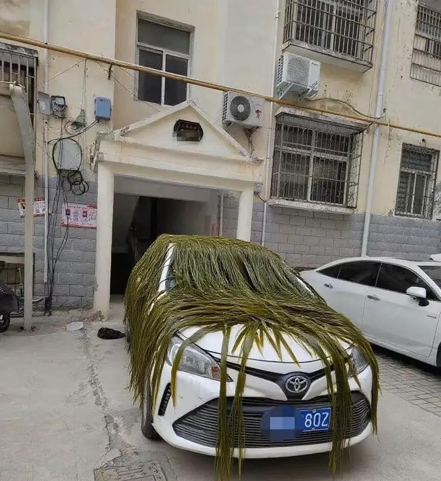 堵在单元门口的后果，最后直接