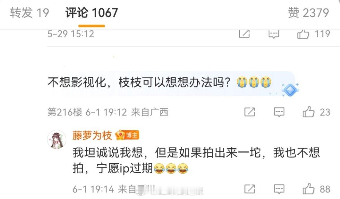 网友希望偏偏宠爱不要影视化，偏偏宠爱作者藤萝为枝回复：她想，但是如果拍出来一坨，