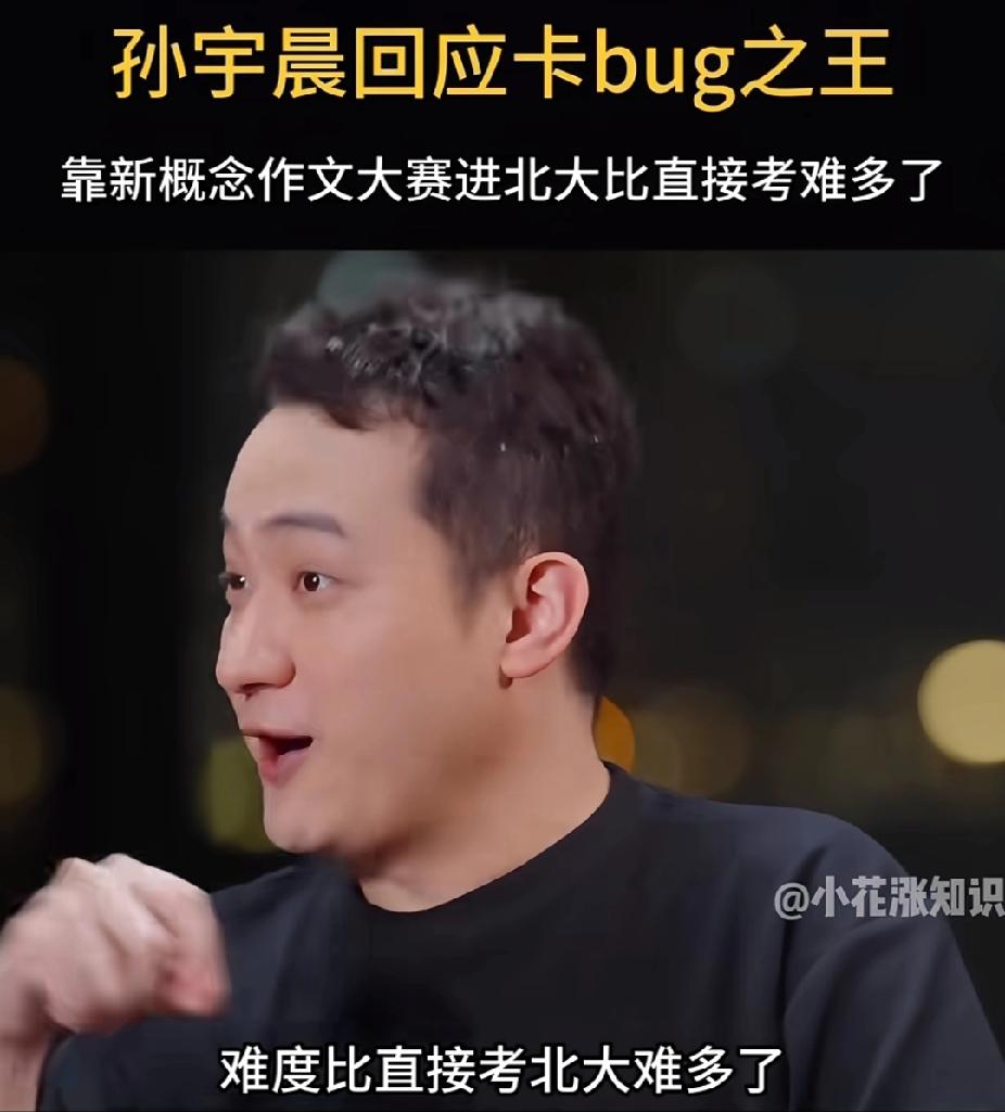 孙宇晨说，要靠新概念作文大赛进北大，难度比直接考北大难多了。他还说，当年参
