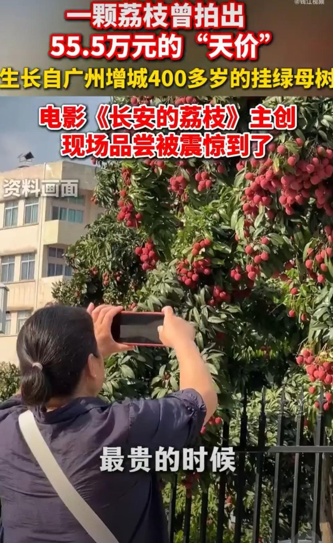 一颗荔枝55万！杨幂吃到增城400岁挂绿荔枝，表情都惊成表情包了宝子们快看新鲜