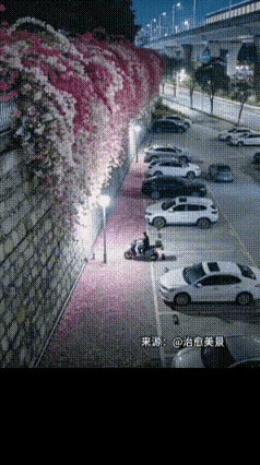 车上人呢？被花妖卷跑了吗？[思考]