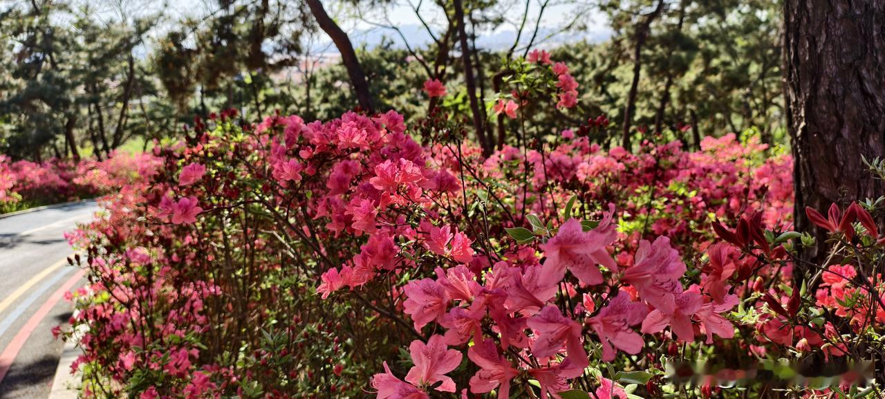 醒醒吧！在领导眼里，活干完了就行，谁干的根本不重要先讲个真事儿。我前公司
