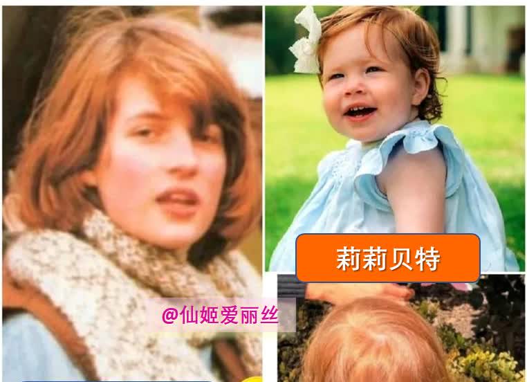 【吐槽：硬蹭皇室红发？莉莉贝特的红发概率连1成都不到！】梅根和她的粉丝们
