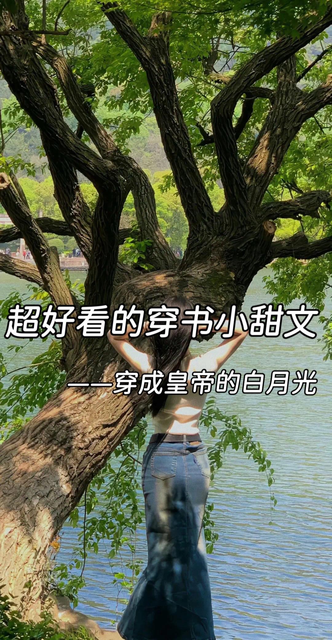 穿书文 穿书甜文 穿书古言文 穿书文推荐 甜宠文推荐