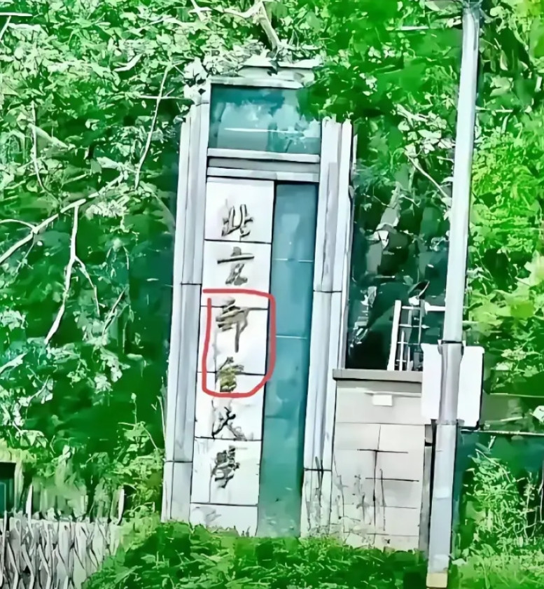 这是个什么字啊？我看了半天也看不出来，看看有没有高手，帮忙解答一下。
