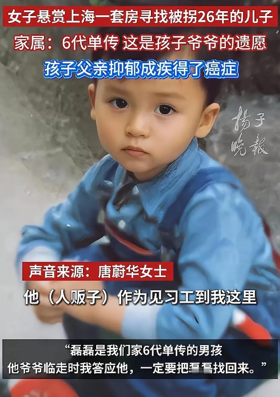 上海，四岁男孩磊磊被拐走长达26年，他乃是家中六代单传的独子。母亲悬赏上海闵行区