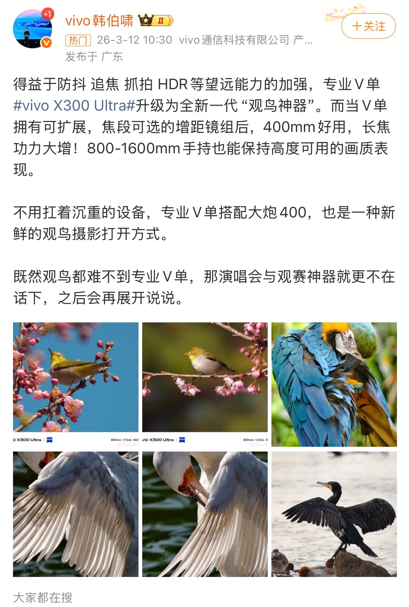 vivoX300Ultra这个加上新的增距镜，打鸟神器啊