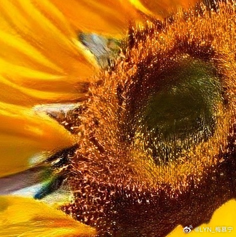 奥运会|早安世界上最美丽的风景，就是你有一颗自信的心，散发着优美的磁场和魅