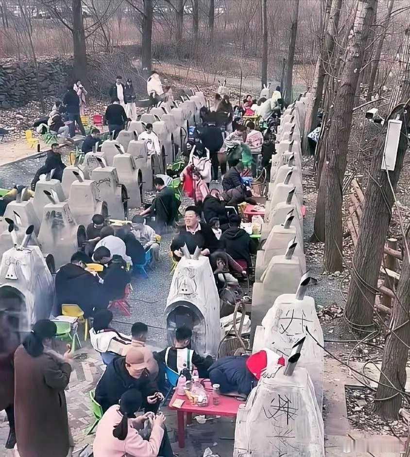 对不起，没人说我以为是坟……