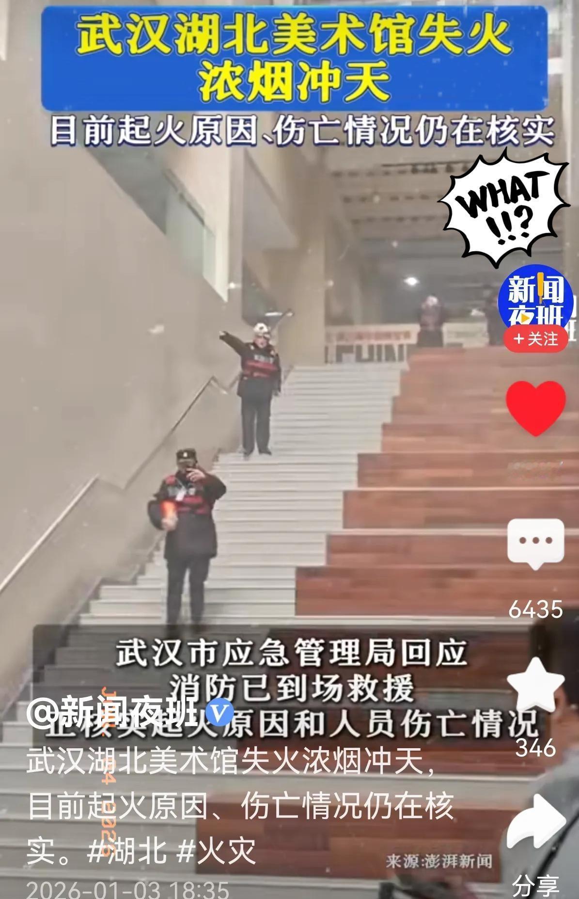 湖北美术馆失火这事儿，果然让网友猜中了！刚经历南京博物院藏品风波，大家就怕