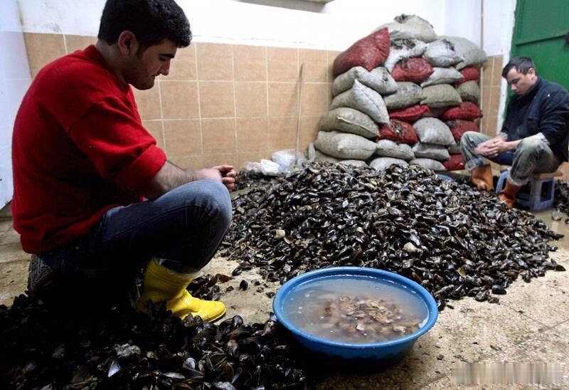 【惊悚！德国家庭在土耳其吃街头小吃后3死1重伤】德国一户家庭近日赴土耳其旅游，