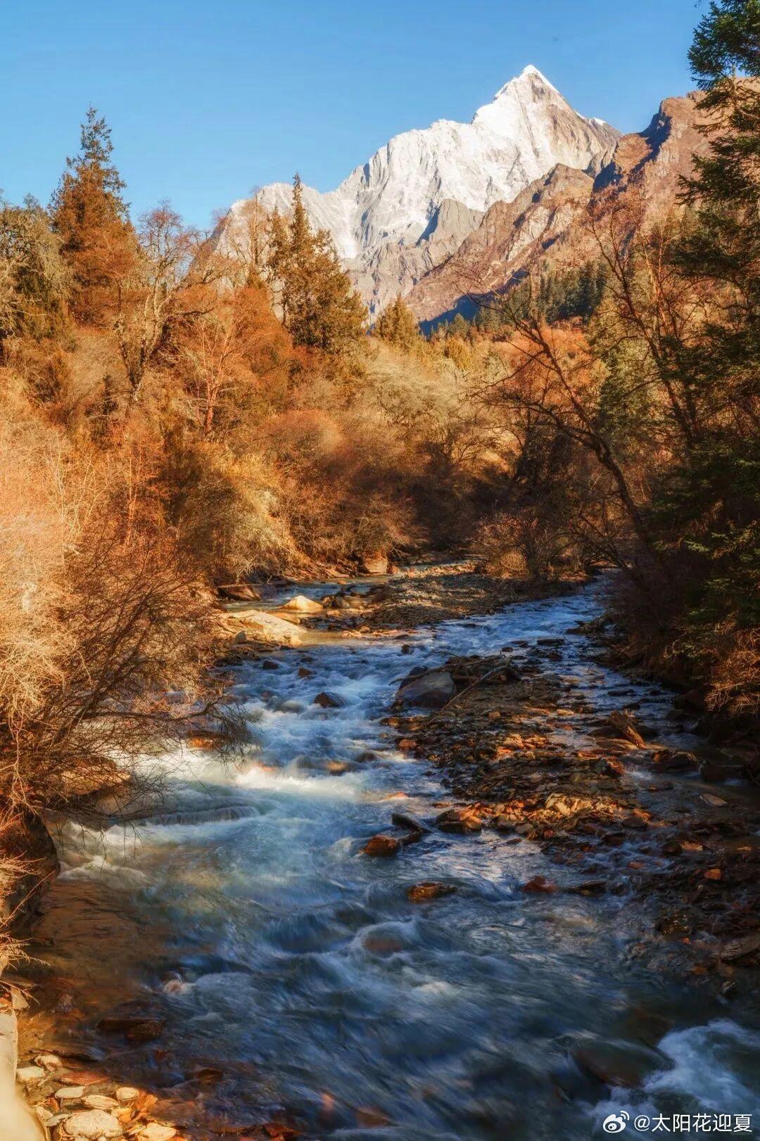川西自驾的秋天，把雪山彩林全部打包送给你🍂一路向前，目光所及皆是惊喜。皑皑雪峰
