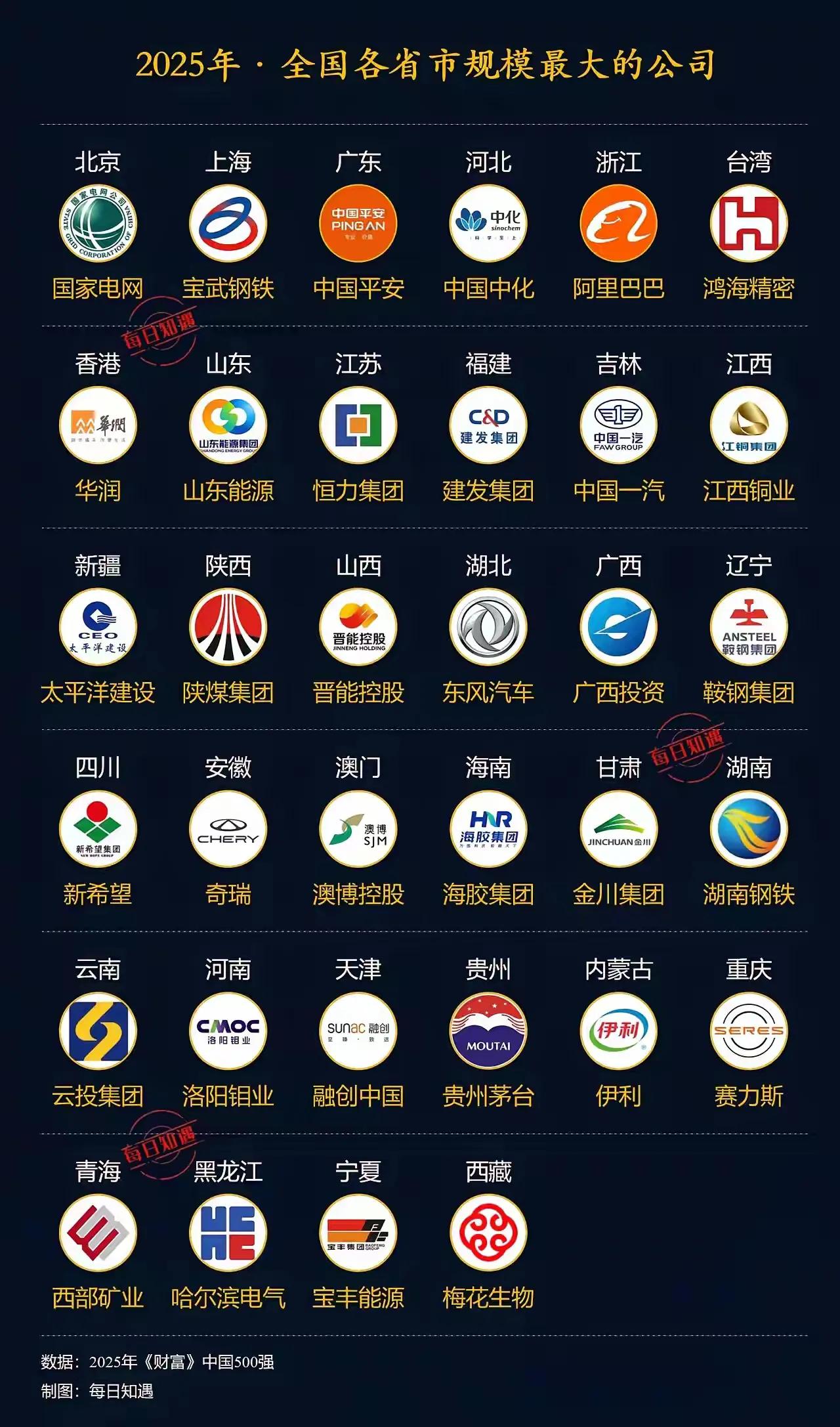 2025年中国各省规模最大公司排行，快来看看你家乡的龙头企业！🏆💼