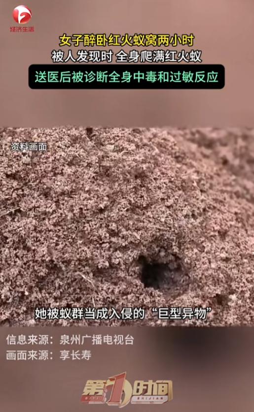 “醉酒女子被红火蚁捡尸！”7月15日报道，福建泉州，一女子喝醉了酒，直接醉倒在了