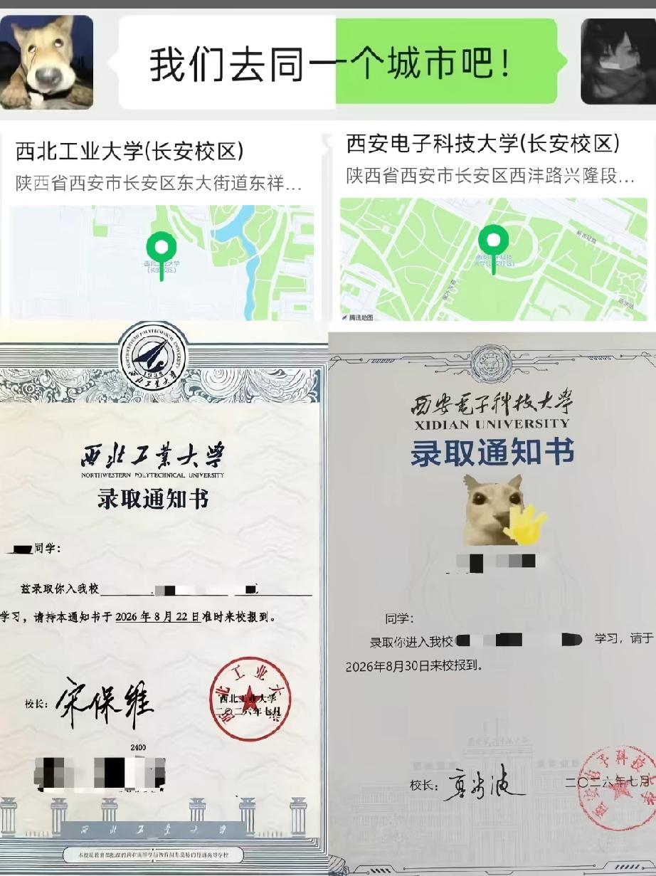 多好的双向奔赴💞双向成全的爱情高中最好的爱情，不是树和藤。