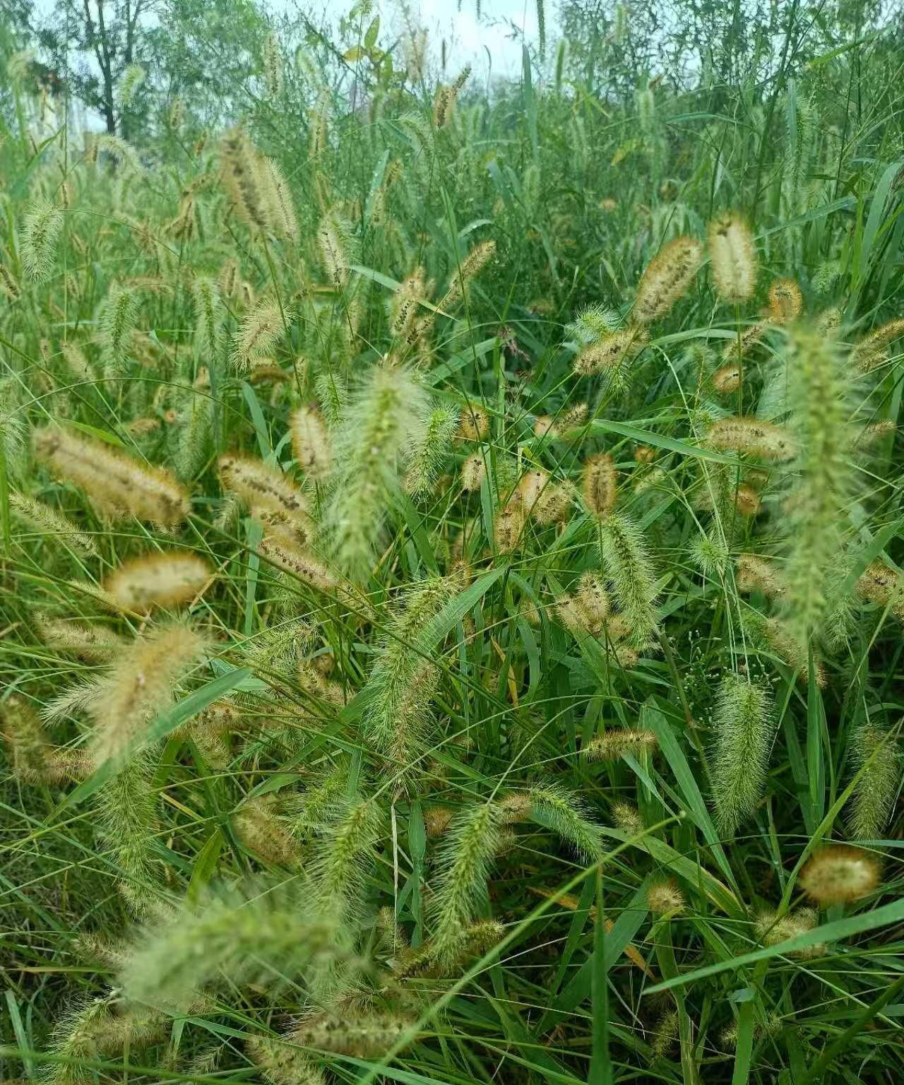 “生是欲，养是责，托举才是恩”！老一辈人传统观念是把孩子生出来养大就是恩情，孩