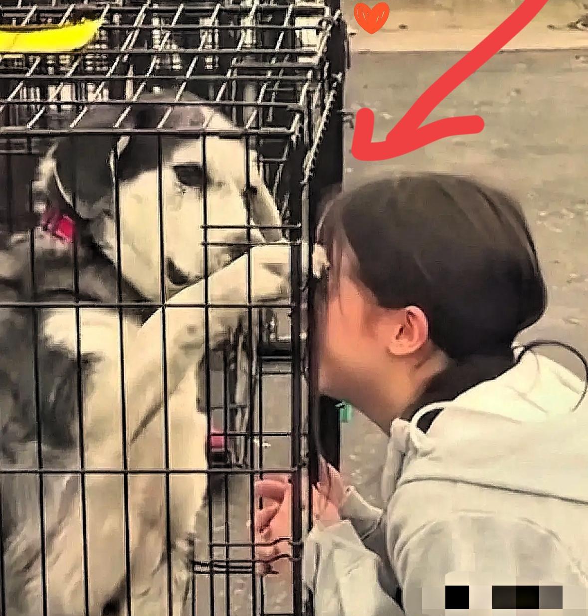 太有缘了！女子在狗市上找到了自己失踪两年的狗狗，女子情绪激动的抓着笼子哭着说“我