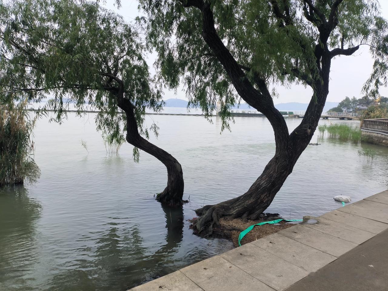 无锡鼋头渚风景区实录。这地方名气很大，地方很广。门票80元，包含乘公交车进去，游