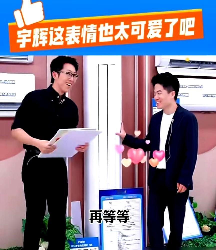 年入210亿，搭档汉森一走，他慌了。直播镜头下，董宇辉脸上的笑瞬间凝固。搭档