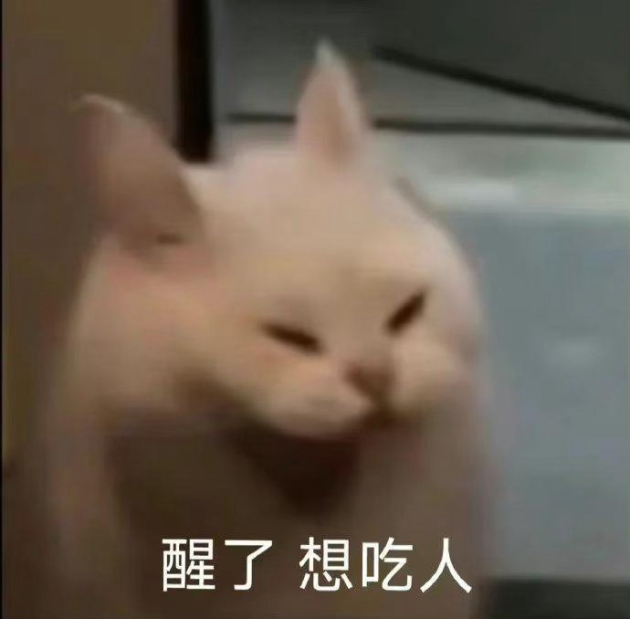 早上7点忙到现在，午饭都没吃早饭也吃了几个饼干而已天，饿昏了还要忙几天，真的忙都