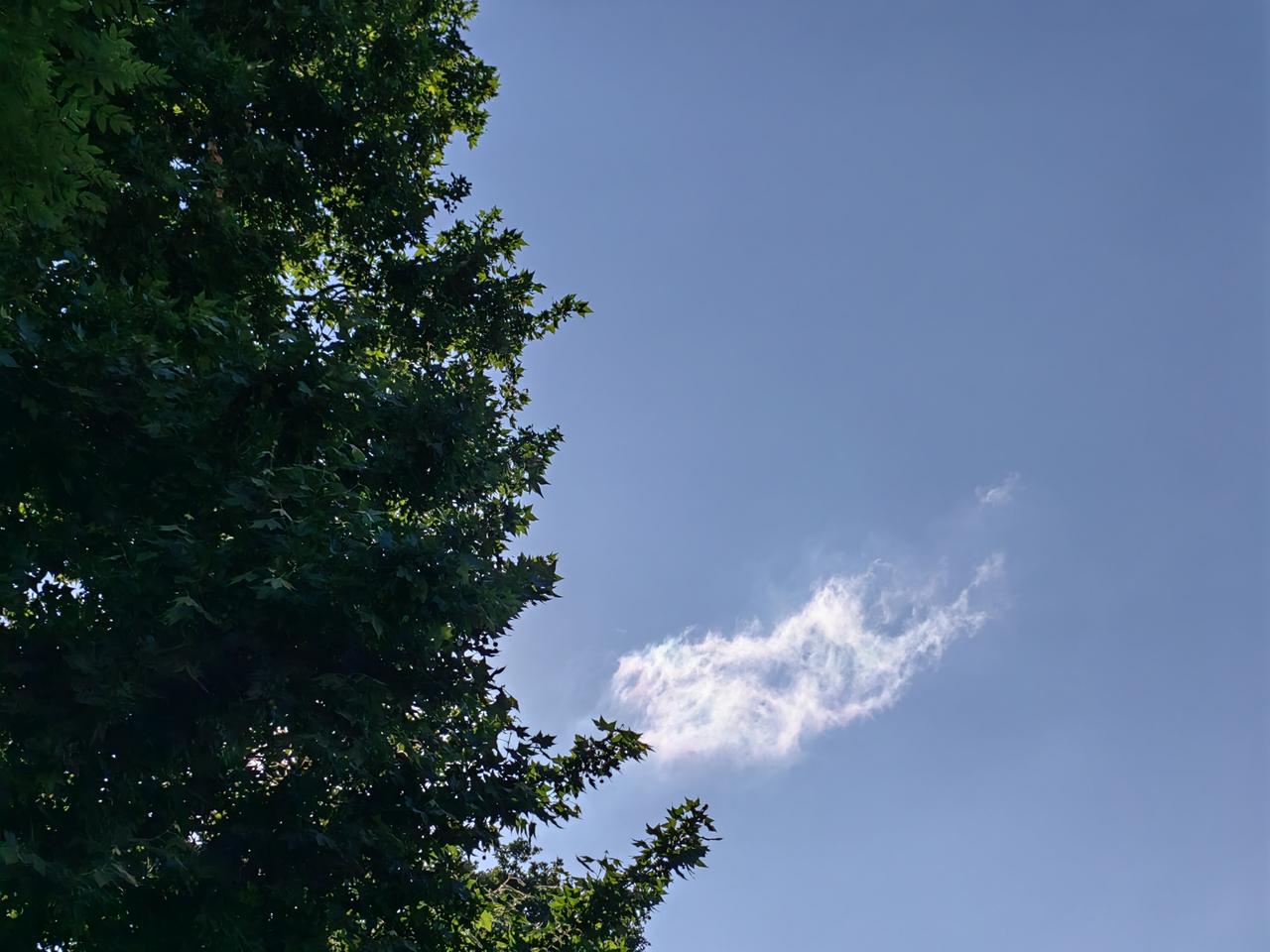 一退休干部讲经验：经常被调动的干部“后劲”足。绝对真经！他说，当干部不能怕动，