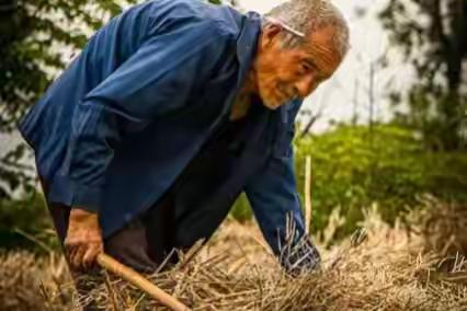 在深圳，先前有这般一个买房事件,确实让人感叹气数的美妙！80年代,叔父凭借着