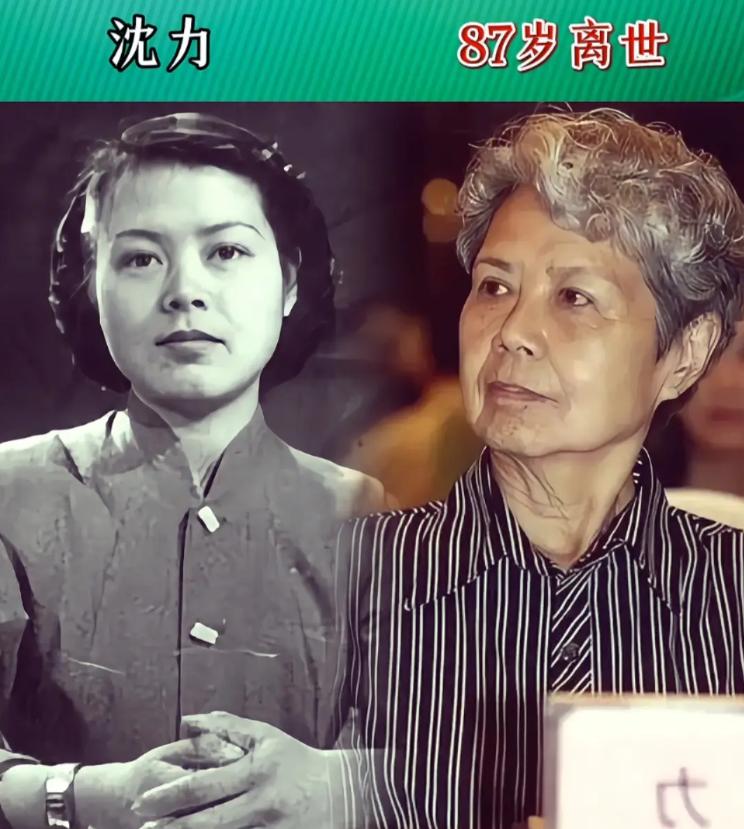 央视主持人沈力，事业圆满，晚年嫁给初恋，一生忙着工作对儿子有亏欠。央视主持人王