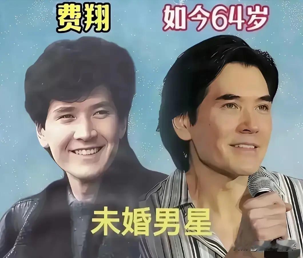 娱乐圈里的“钻石王老五”：他们为何选择不婚？费翔，如今64岁。这位可是初代全