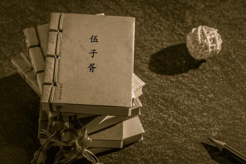 伍子胥是史记里最解气的人物，两千年后仍令人神往膜拜。楚平王派费无忌去秦国为太子