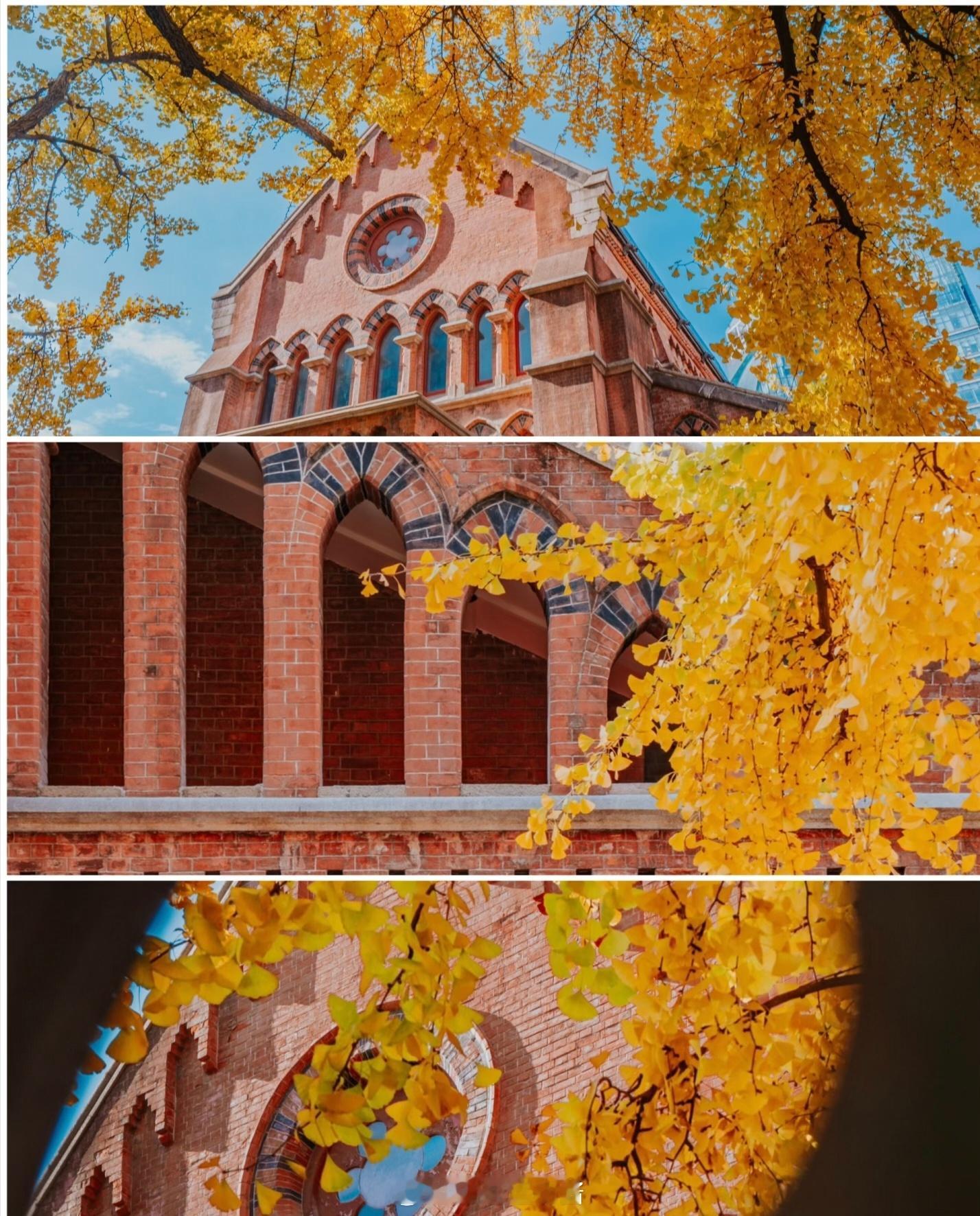 上海外滩最美的银杏美景地址:上海-圣三一堂拍照最佳时间:上午9.00-11.00