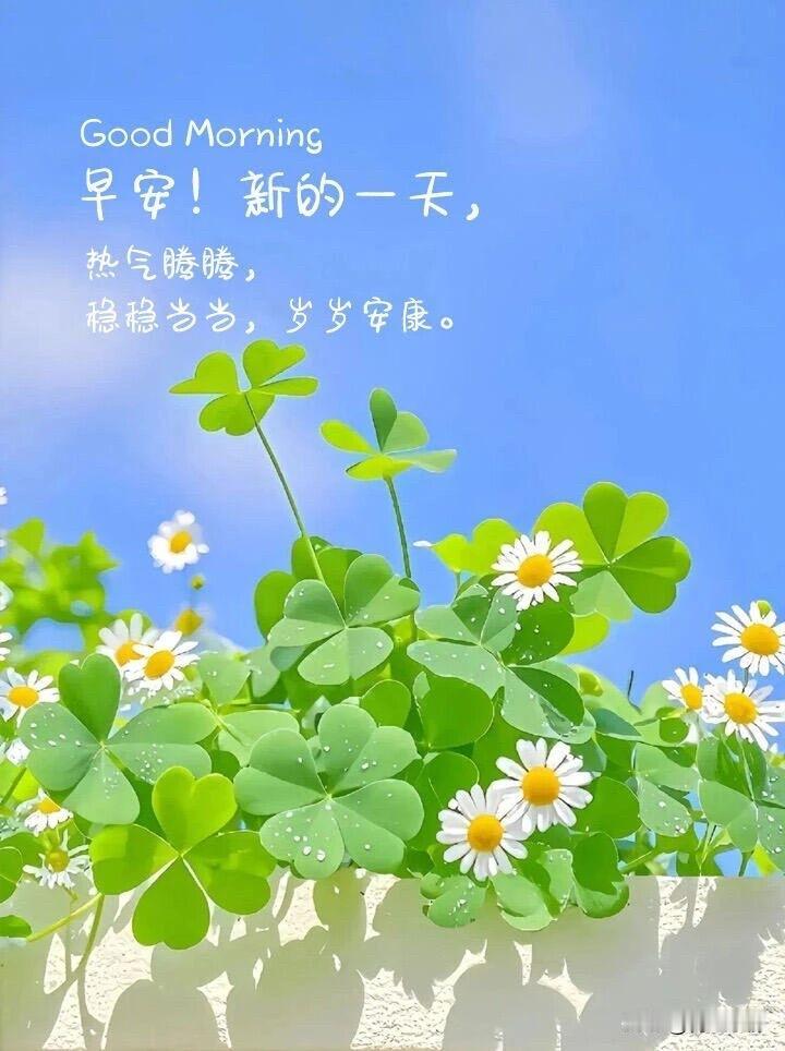 🌷²⁰²⁶/₀₅.₁₃｜周三早安☕️🍃🍒风遇山河，晨遇温柔，把烦恼