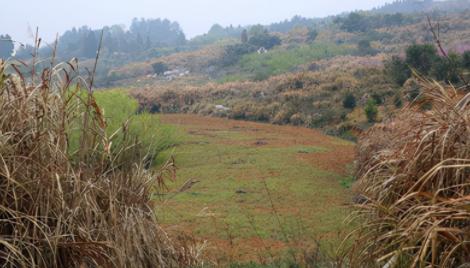 1967年，一天深夜，陕西村民贺富荣出门去如厕。1967年的那个深夜，陕西宝